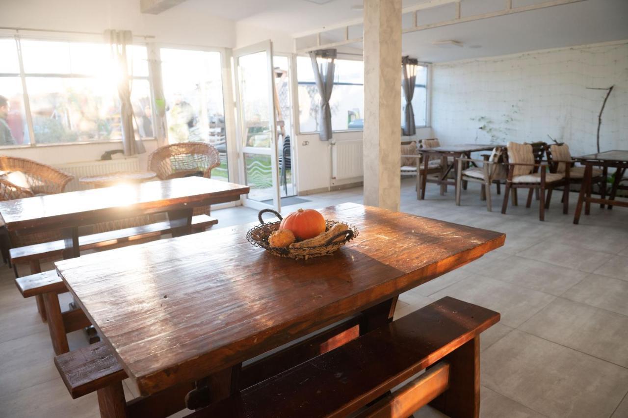 Casa Dumitrescu Hotel Navodari Luaran gambar